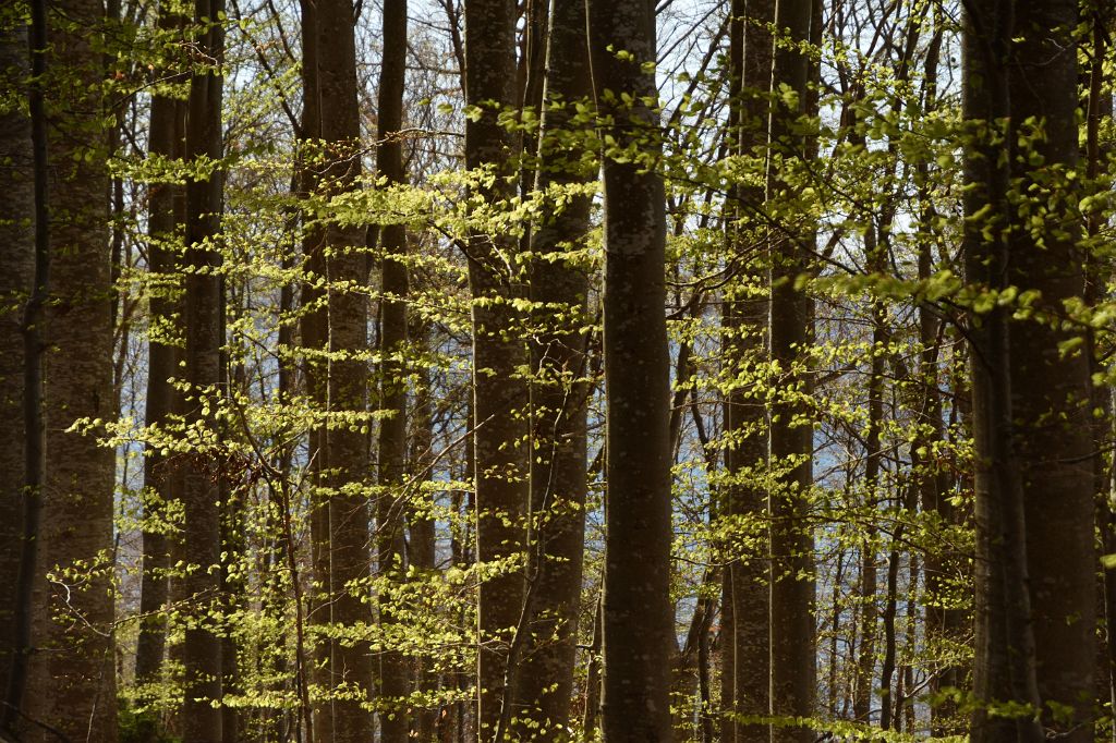 DSC_5731.JPG