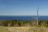 thumbs/DSC_5683.JPG