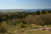 thumbs/DSC_5690.JPG