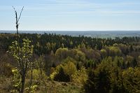 thumbs/DSC_5692.JPG