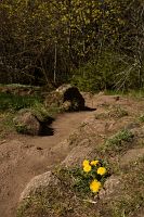thumbs/DSC_5695.JPG