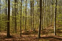 thumbs/DSC_5703.JPG