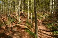 thumbs/DSC_5709.JPG