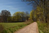 thumbs/DSC_5718.JPG