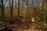thumbs/DSC_5721.JPG
