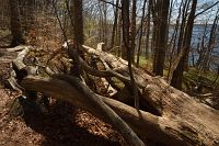 thumbs/DSC_5725.JPG