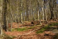 thumbs/DSC_5727.JPG