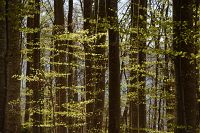 thumbs/DSC_5731.JPG