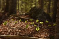 thumbs/DSC_5734.JPG