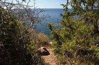 thumbs/DSC_5743.JPG