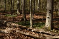 thumbs/DSC_5758.JPG