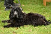 thumbs/DSC_3588.JPG