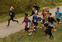 thumbs/DSC_3617.JPG