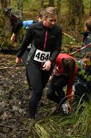 thumbs/DSC_3793.JPG