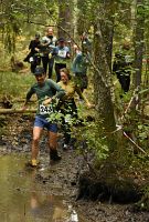thumbs/DSC_3839.JPG