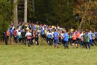 thumbs/DSC_4237.JPG