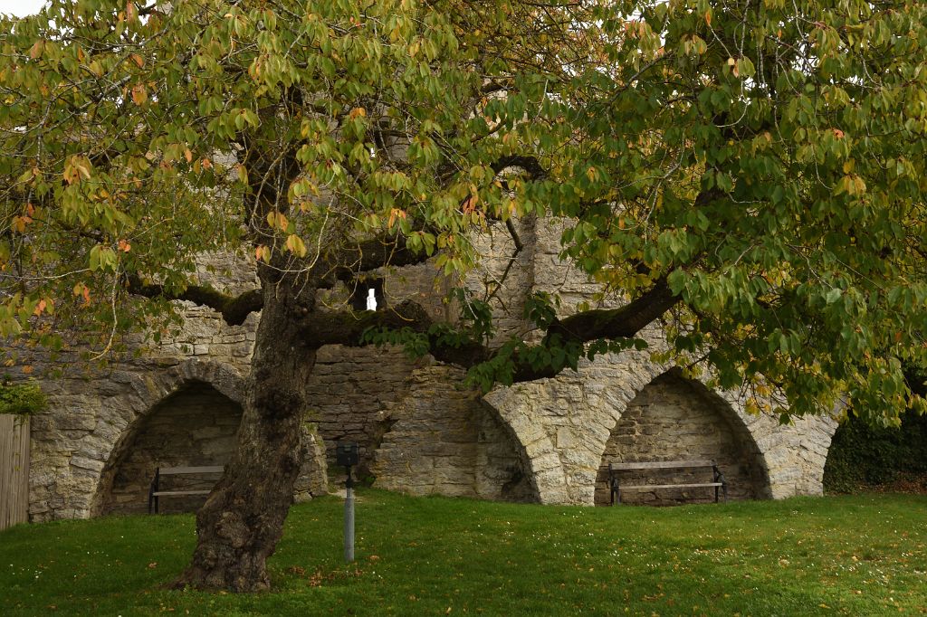 DSC_4721.JPG