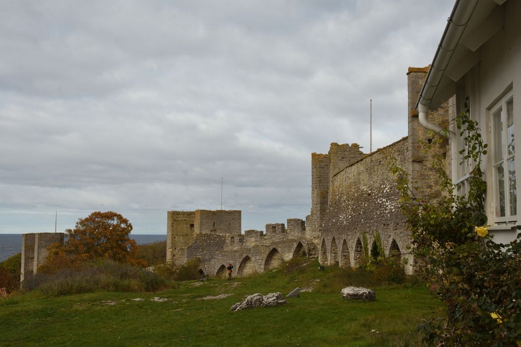 DSC_4729.JPG