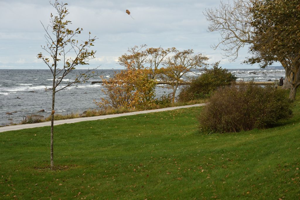 DSC_4736.JPG