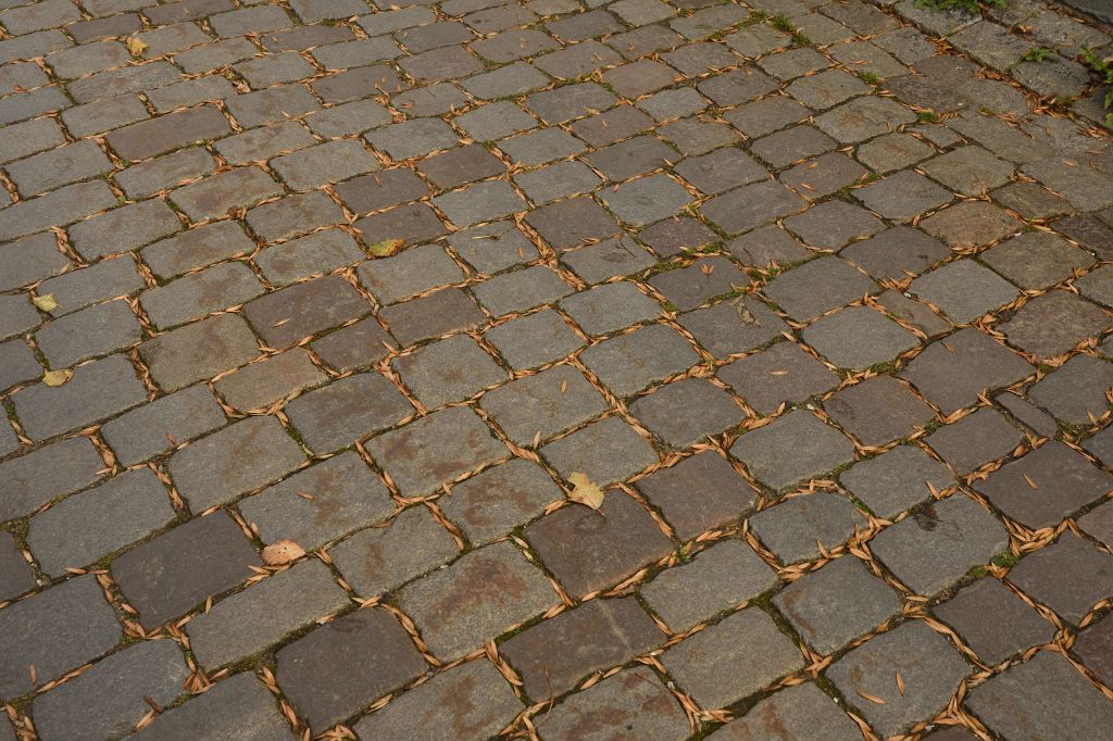 DSC_4749.JPG