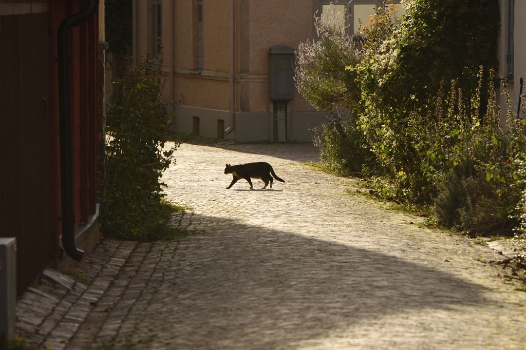 DSC_4769.JPG