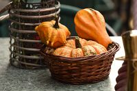 thumbs/DSC_4689.JPG