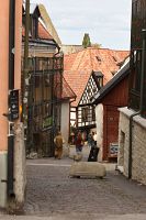 thumbs/DSC_4693.JPG