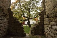 thumbs/DSC_4726.JPG