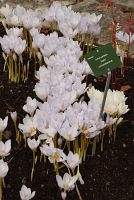 thumbs/DSC_4741.JPG