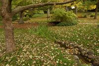 thumbs/DSC_4743.JPG