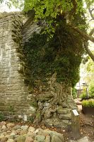 thumbs/DSC_4746.JPG