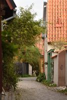 thumbs/DSC_4751.JPG