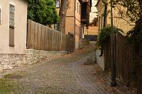 thumbs/DSC_4754.JPG