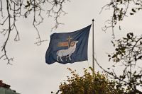 thumbs/DSC_4759.JPG