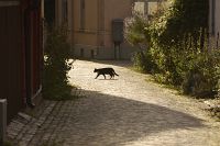 thumbs/DSC_4769.JPG