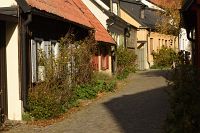 thumbs/DSC_4772.JPG