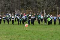 thumbs/DSC_4989.JPG