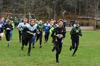 thumbs/DSC_4993.JPG