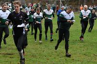 thumbs/DSC_4995.JPG